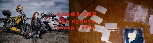 индика Новодвинск