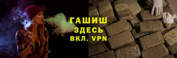 индика Новодвинск