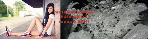прущие грибы Новокубанск