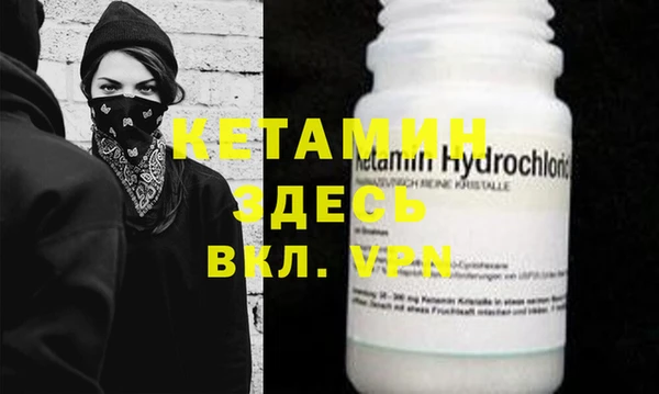 индика Новодвинск