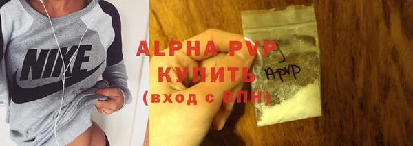 индика Новодвинск