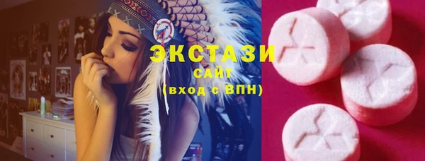индика Новодвинск