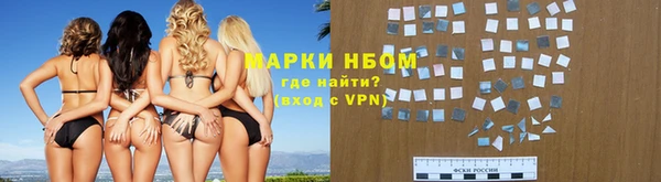прущие грибы Новокубанск