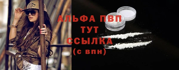 индика Новодвинск