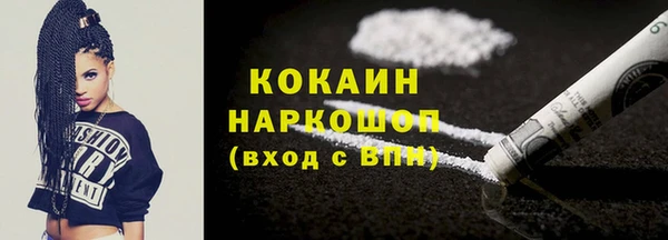 индика Новодвинск