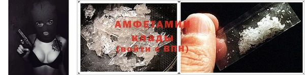 индика Новодвинск
