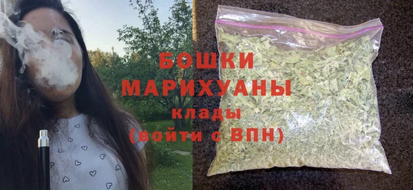 индика Новодвинск