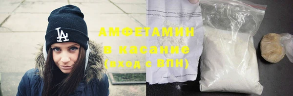прущие грибы Новокубанск