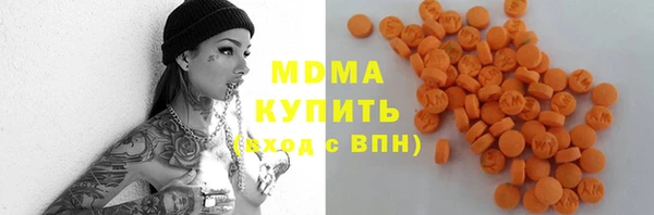 индика Новодвинск