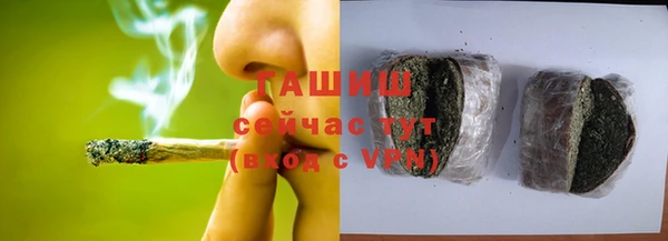 индика Новодвинск