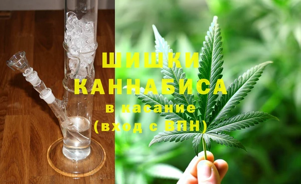 прущие грибы Новокубанск