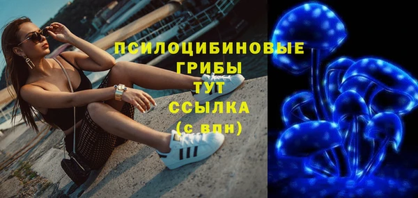 прущие грибы Новокубанск