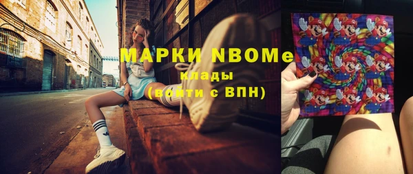 индика Новодвинск