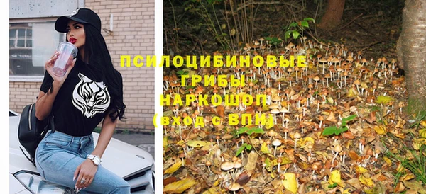 винт Новозыбков
