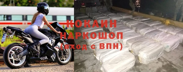 индика Новодвинск