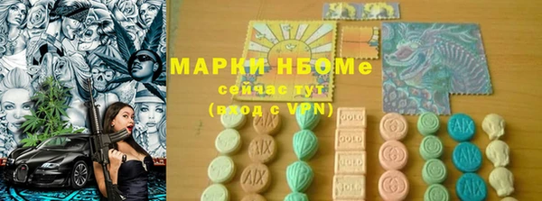 индика Новодвинск