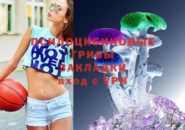 индика Новодвинск