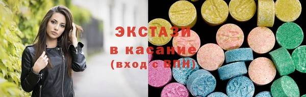 индика Новодвинск