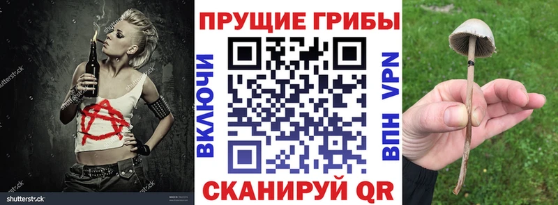 Галлюциногенные грибы прущие грибы  Купить где  Сосновка 